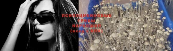 герыч Лагань