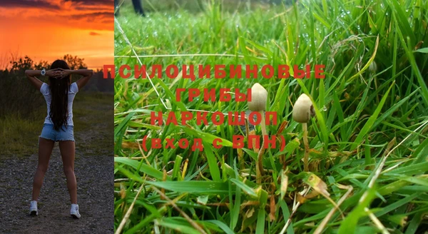 винт Кулебаки