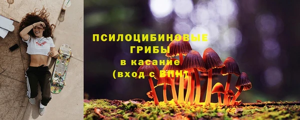 герыч Лагань